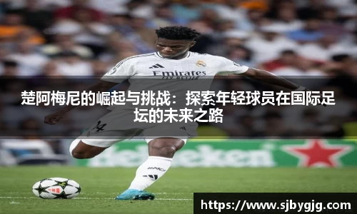 中欧体育官方网站