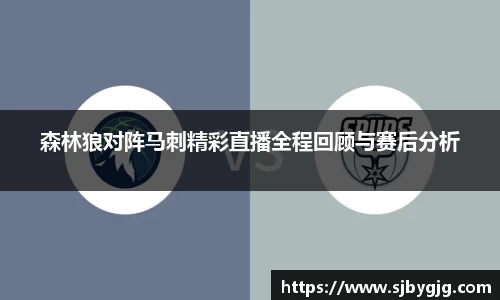 森林狼对阵马刺精彩直播全程回顾与赛后分析